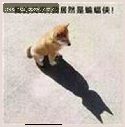 陈悦